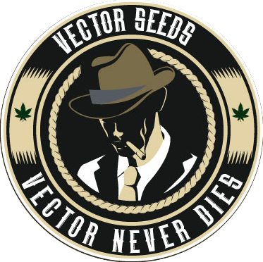 vectorseeds.com